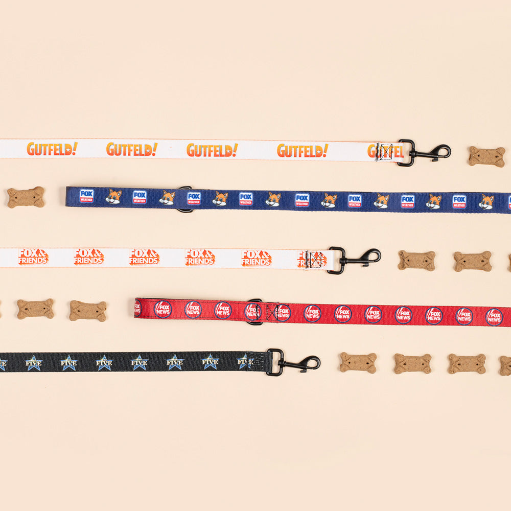 Lifestyle view of the FOX Weather Sonny pet leash ready for a morning walk.