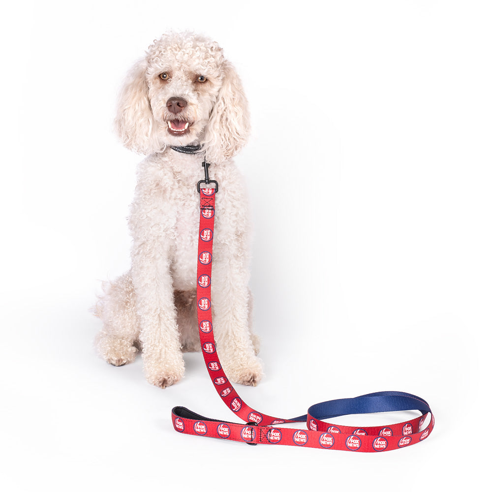 Official FOX News pet leash displayed on a modern wooden table in a well-lit patriotic home.