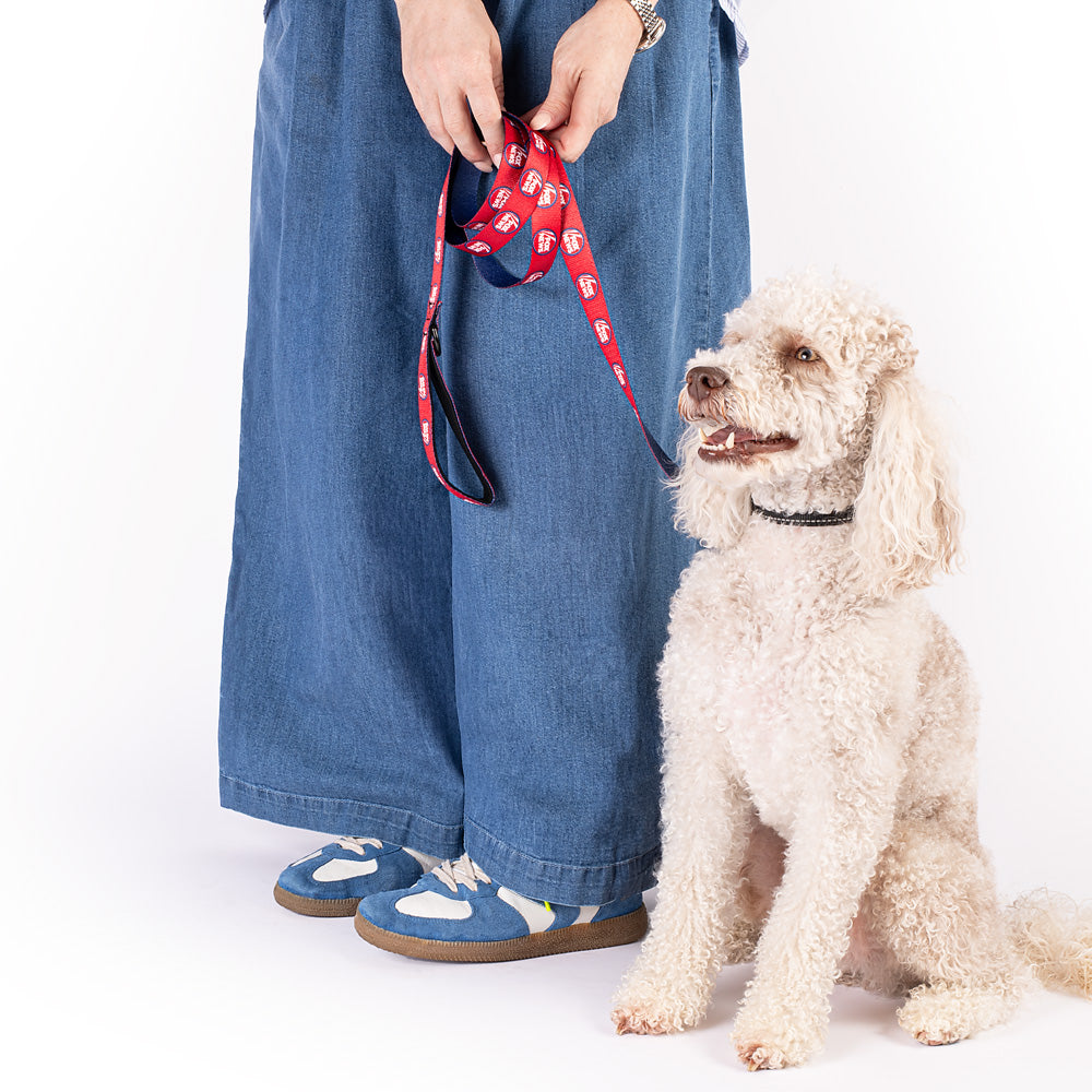 FOX News Pet Leash