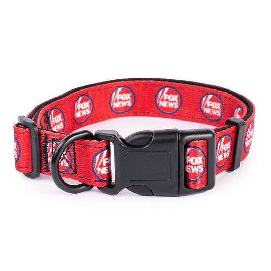 A modern American living room with a comfortable setting, showcasing the FOX News pet collar on a clean surface.