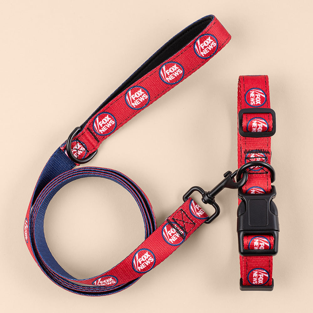 A clean lifestyle product shot of the FOX News pet collar arranged in a bright, suburban American home setting.