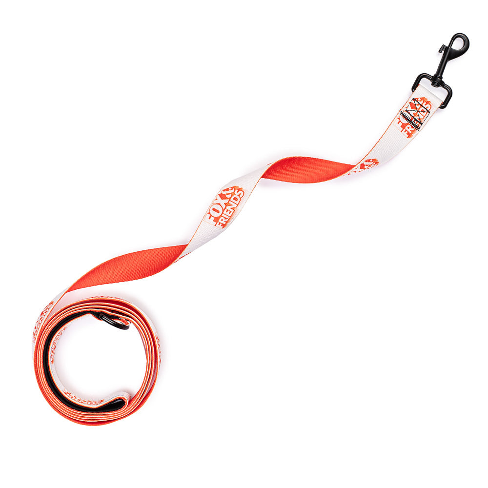 A 6-foot pet lead laying on a clean, sunlit wooden deck in a suburban American backyard.