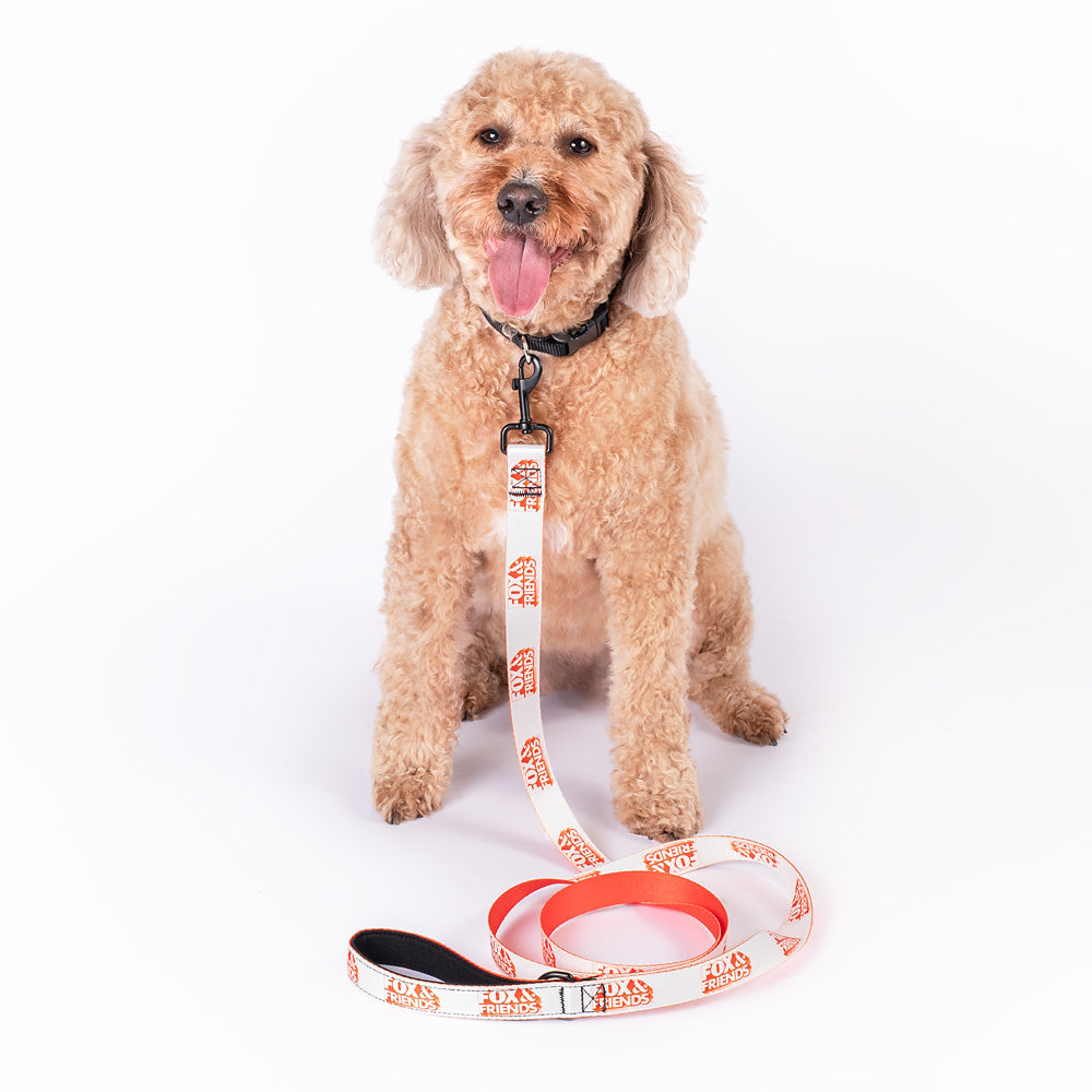 Close-up of the metal swivel hook and high-quality stitching on the *FOX & Friends* pet leash.
