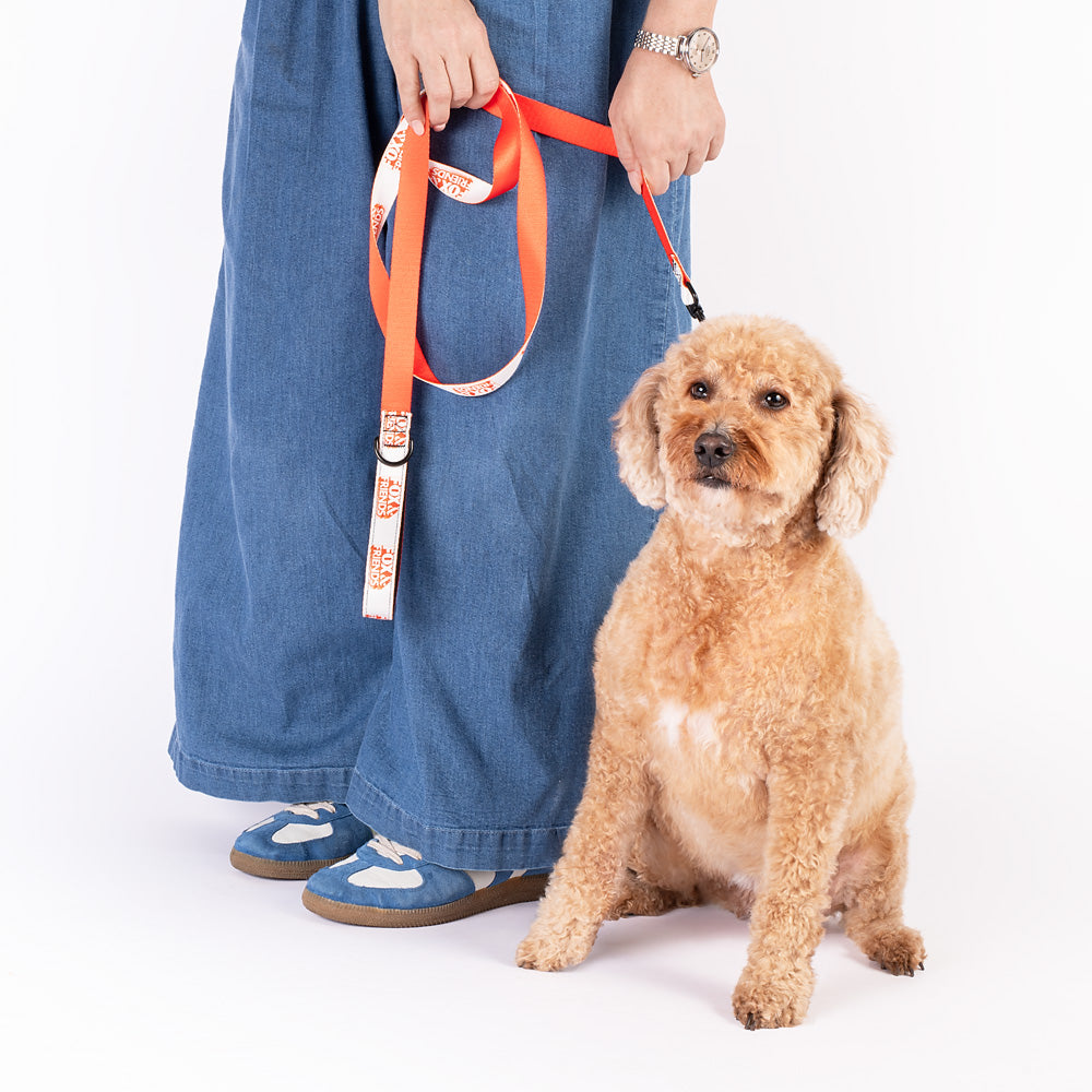 A patriotic *FOX & Friends* logo leash held by a person in a suburban setting during a morning walk.