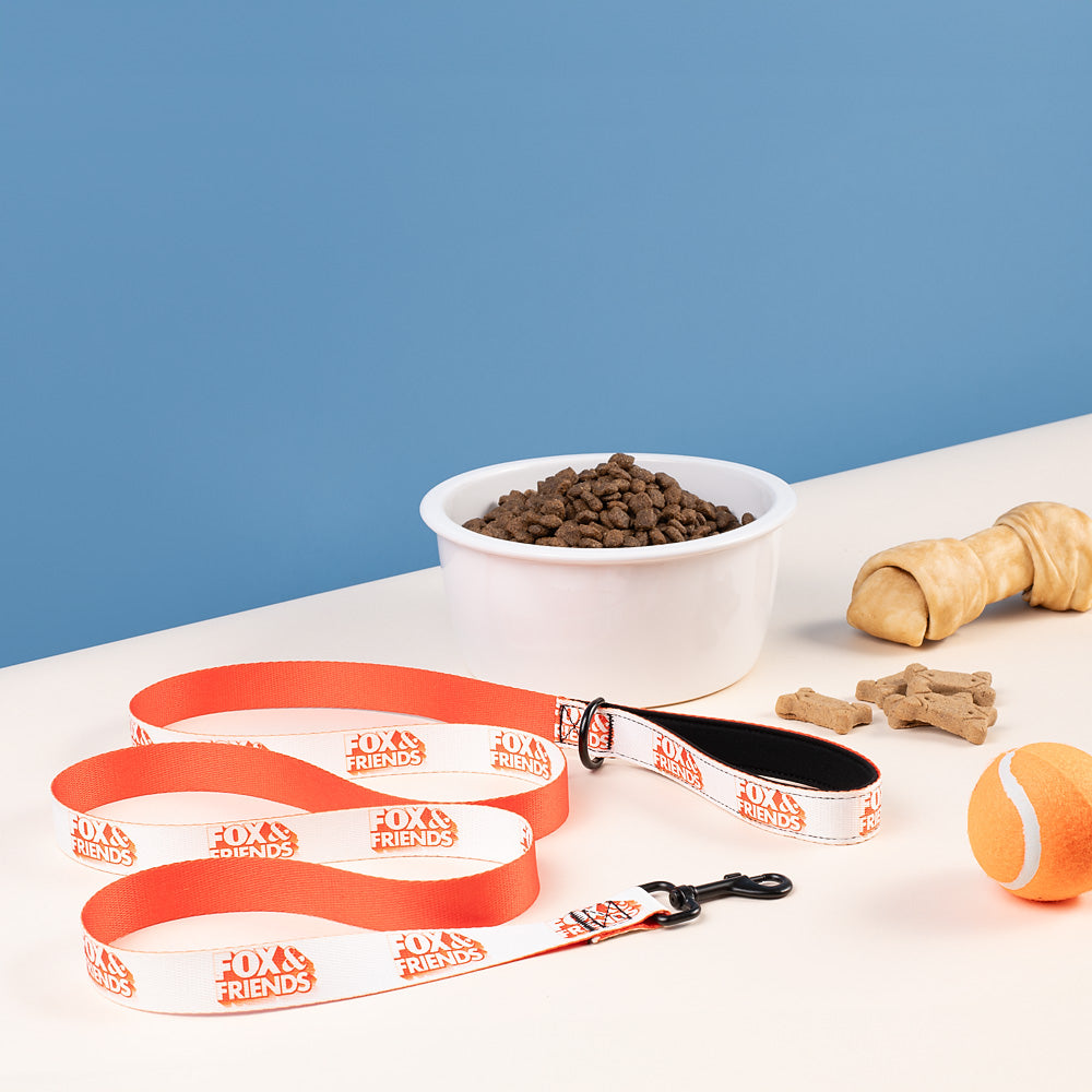The *FOX & Friends* pet leash stretched out to its full 6 foot length on a modern tiled floor.