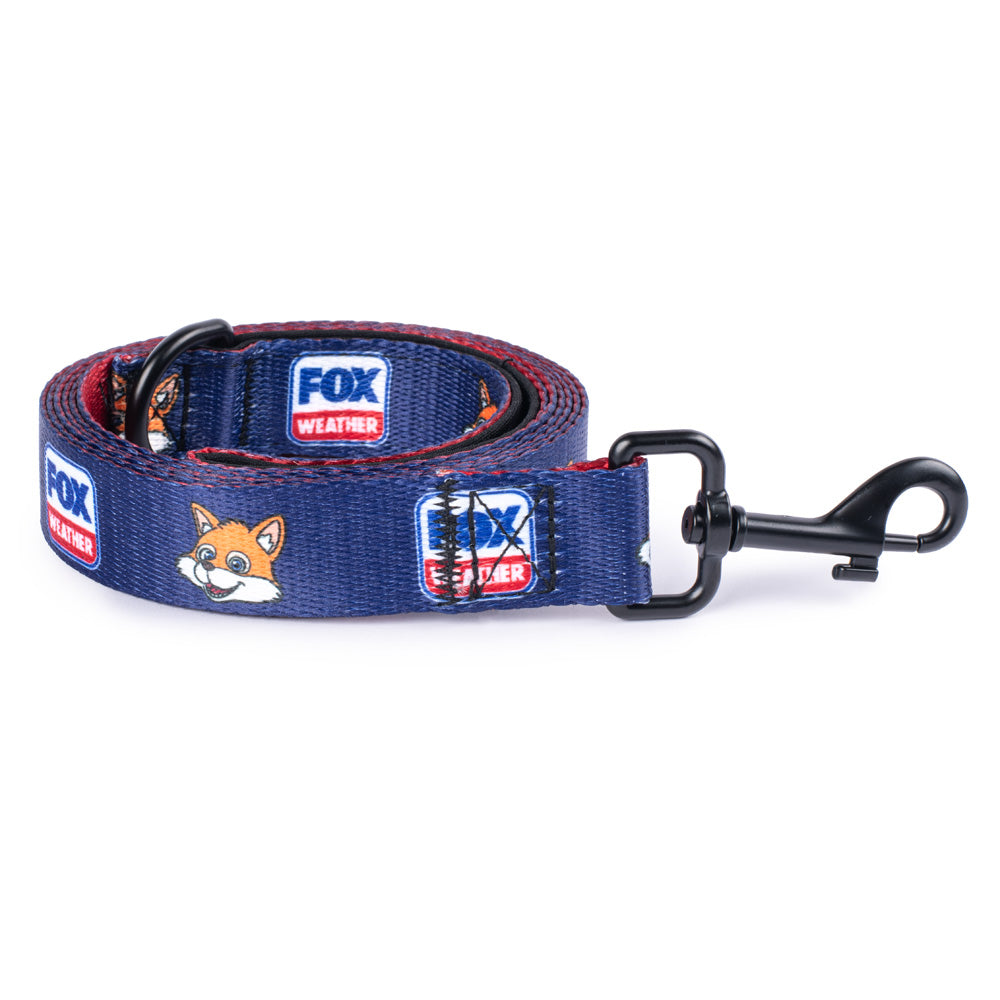 A modern American living room setting with a stylish pet leash neatly displayed on a wooden surface.