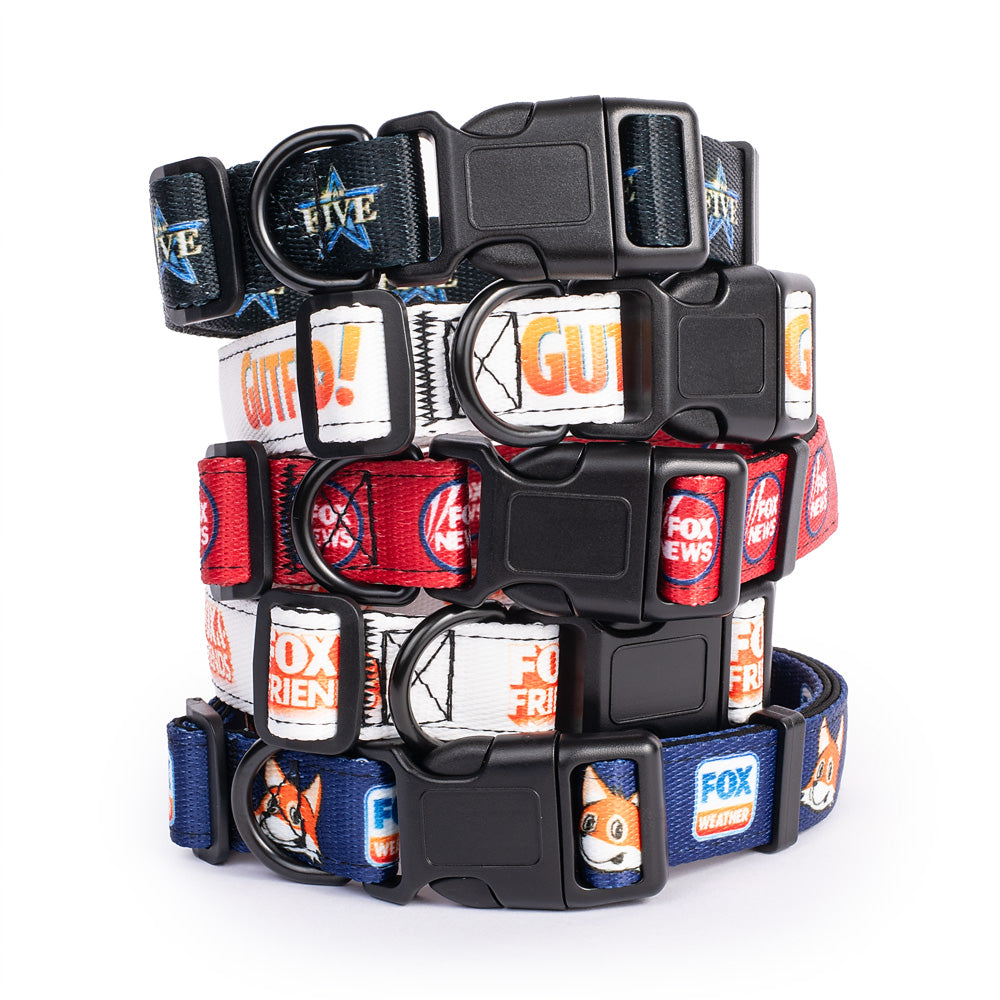 Detailed view of the hardware and stitching on the FOX & Friends pet collar.