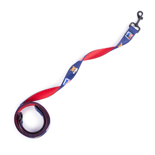 An outdoor lifestyle setting featuring the FOX Weather Sonny pet leash in bright daylight.