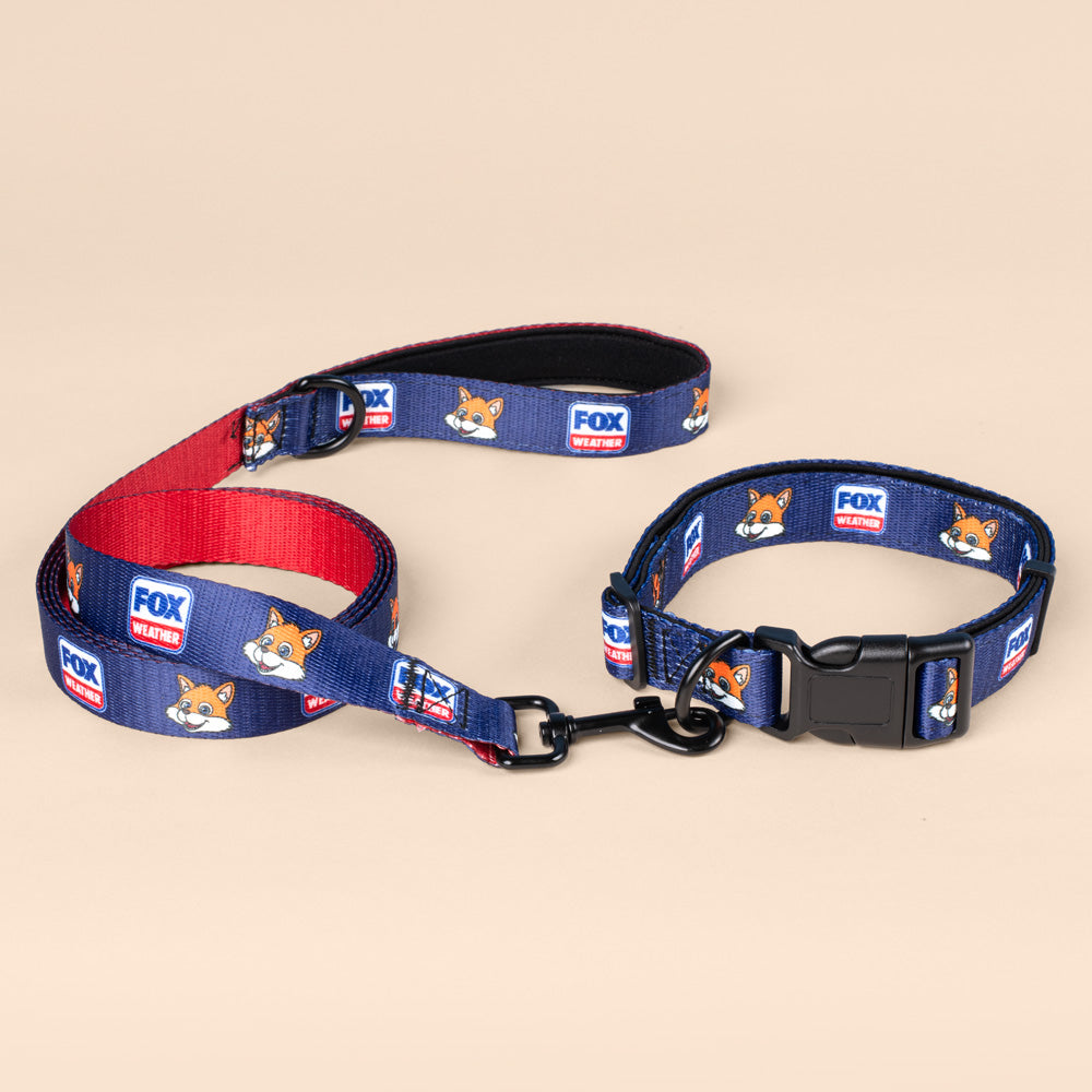 A clean, suburban American backyard background highlighting the FOX Weather pet leash.