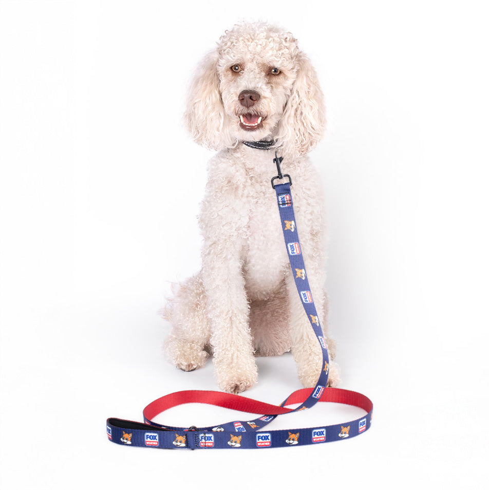 Close-up of the FOX Weather Sonny pet leash showing crisp logo placement and durable hardware.