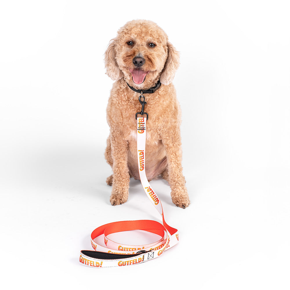 The Gutfeld! dog leash laid out neatly on a modern American home coffee table.