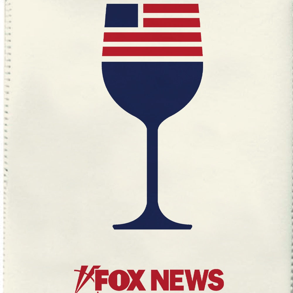 A single bottle FOX News wine carrier bag shown in a modern American kitchen setting.