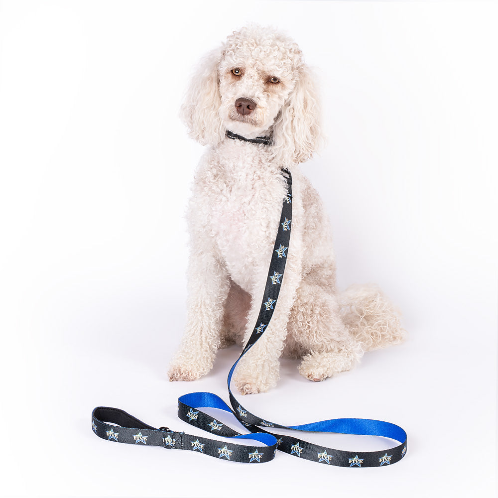 A 6-foot The Five pet leash neatly coiled on a modern wooden floor.