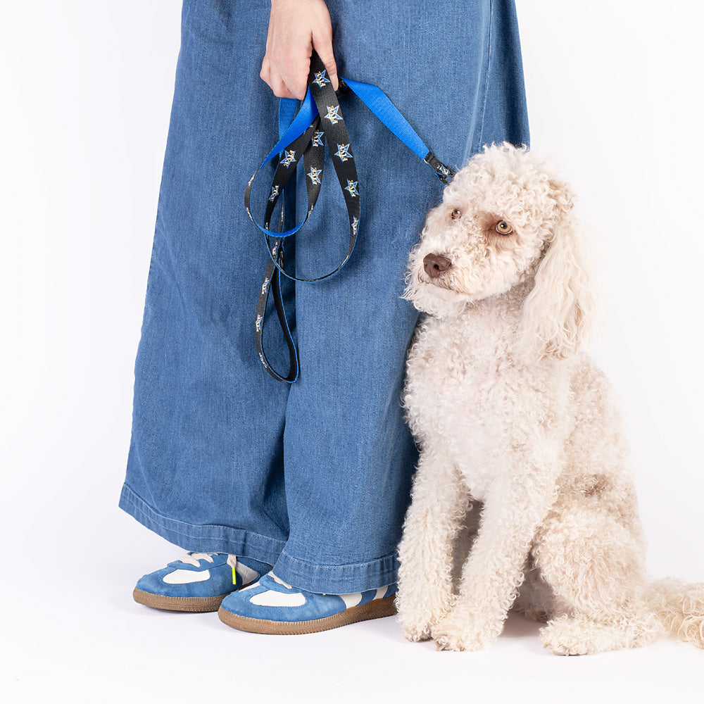 Lifestyle shot of a pet owner walking their dog with The Five pet leash in a sunny park.