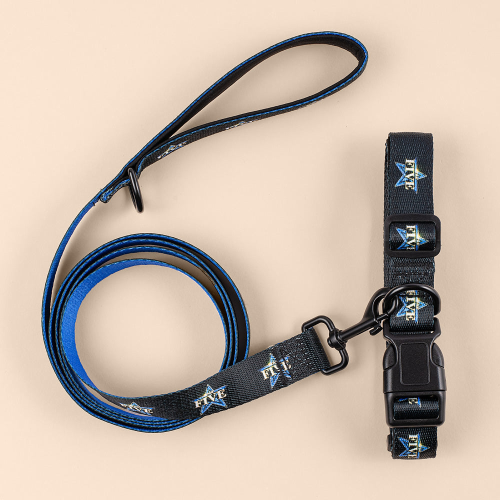 Detailed product shot of The Five pet collar displaying the crisp network-inspired design.