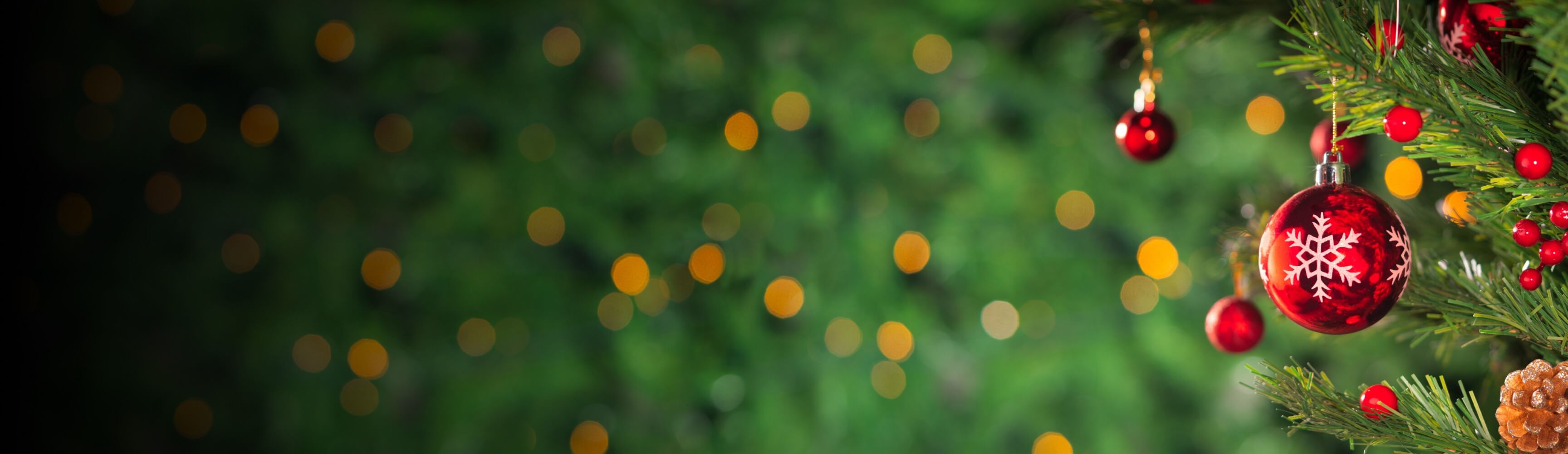 premium-banner-holiday shopping gift guide
