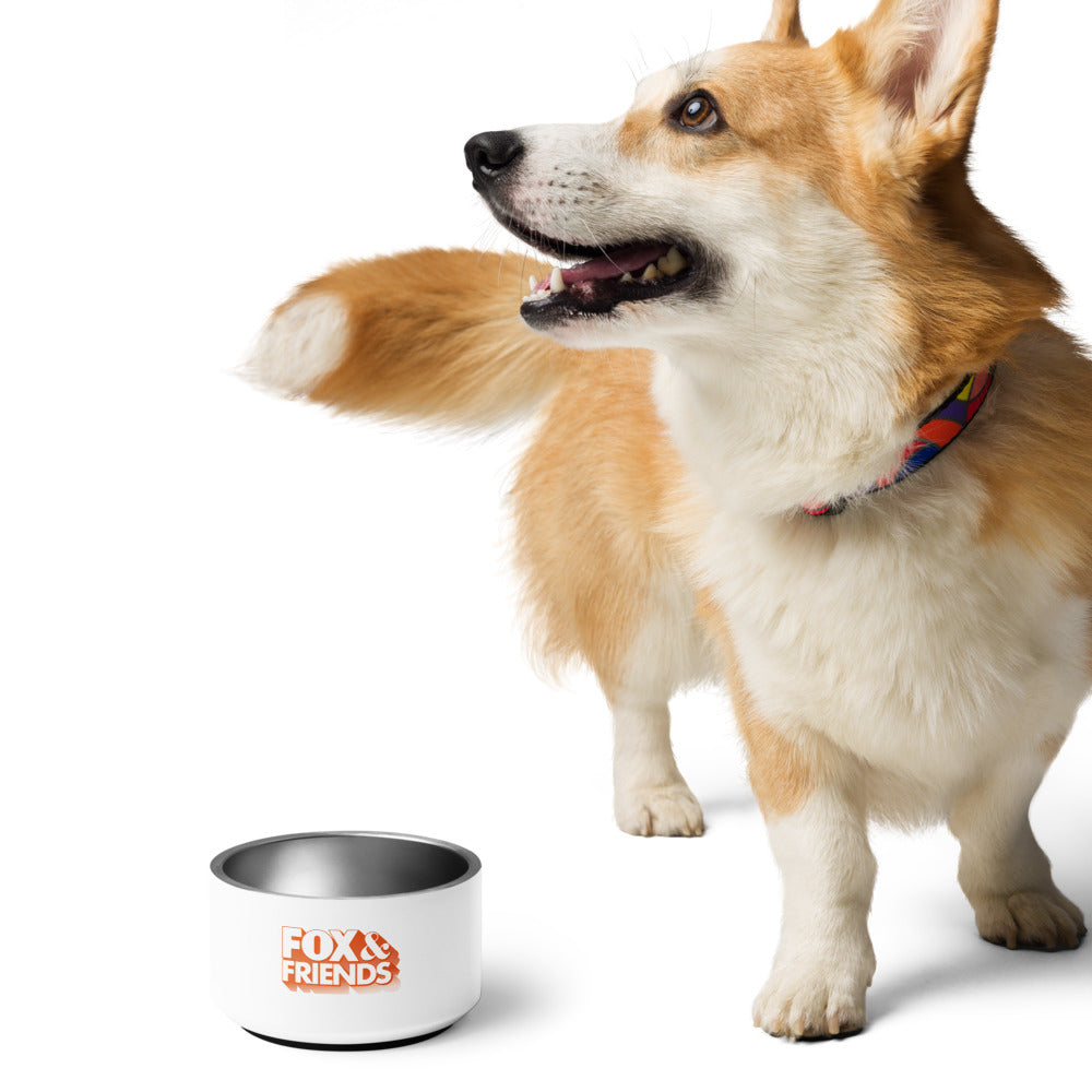 The 18 oz and 32 oz FOX & Friends pet bowl side by side on a neutral tabletop.