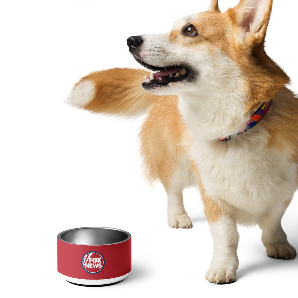 A well-lit kitchen interior showing the FOX News pet bowl positioned beside pet food containers.