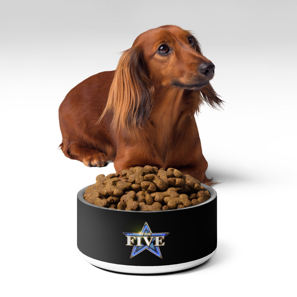 An overhead view of *The Five* pet bowl ready for daily mealtime.