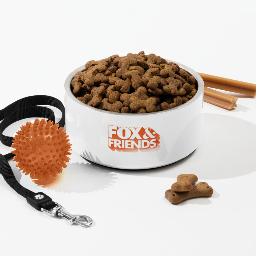 Product shot of the FOX & Friends pet bowl showcasing its vibrant branding and clean finish.