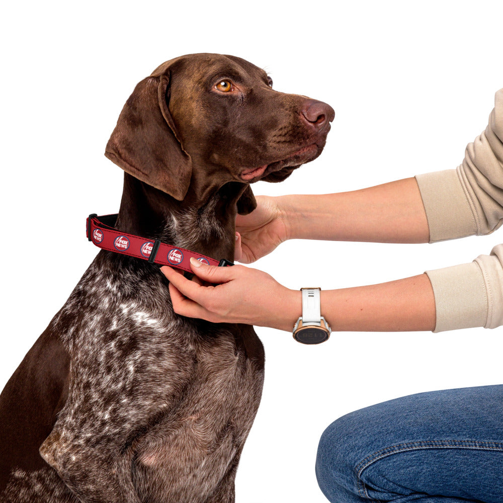 A professional studio shot of the FOX News pet collar highlighting its official branding and high-quality construction.