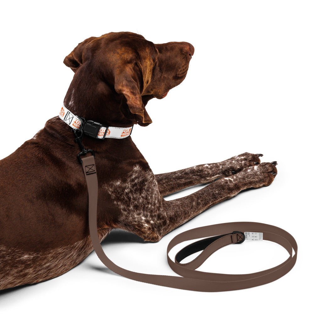 Lifestyle image showcasing a well-groomed dog wearing the official FOX & Friends pet collar outdoors.