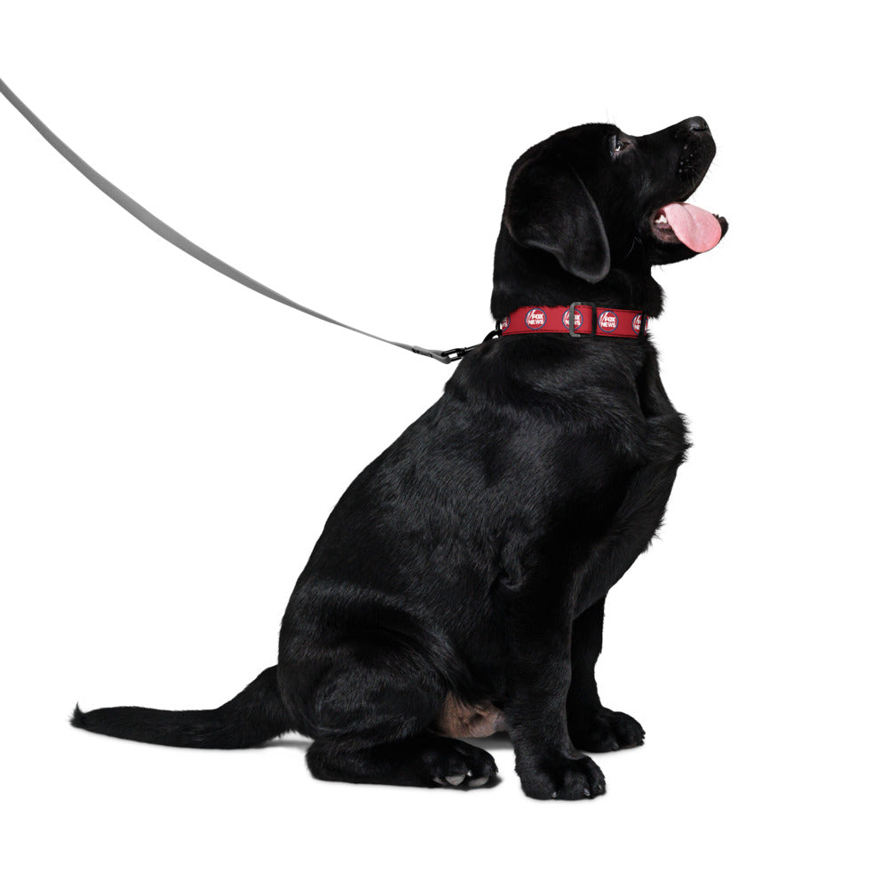 A neatly folded display of the FOX News pet collar showcasing its adjustable sizing and vibrant red, white, and blue design.