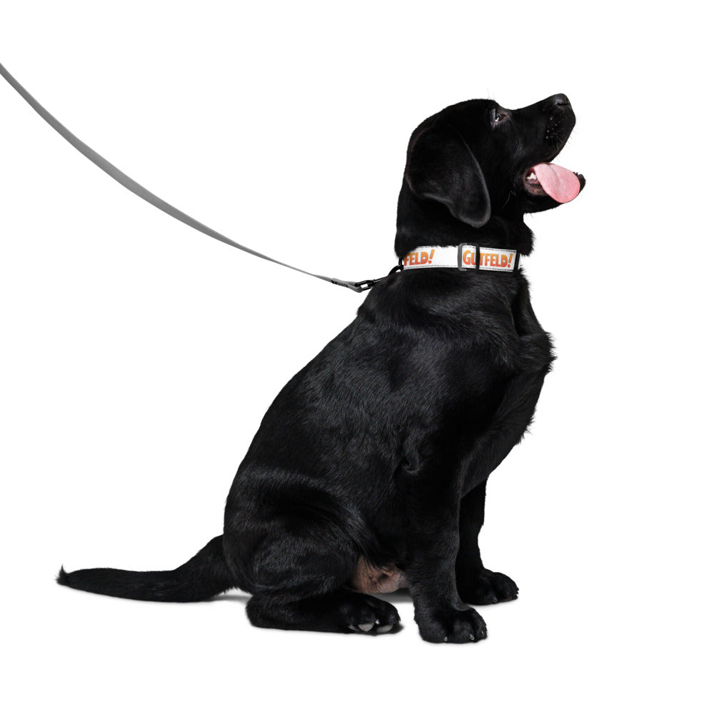 Gutfeld! Logo Pet Collar M