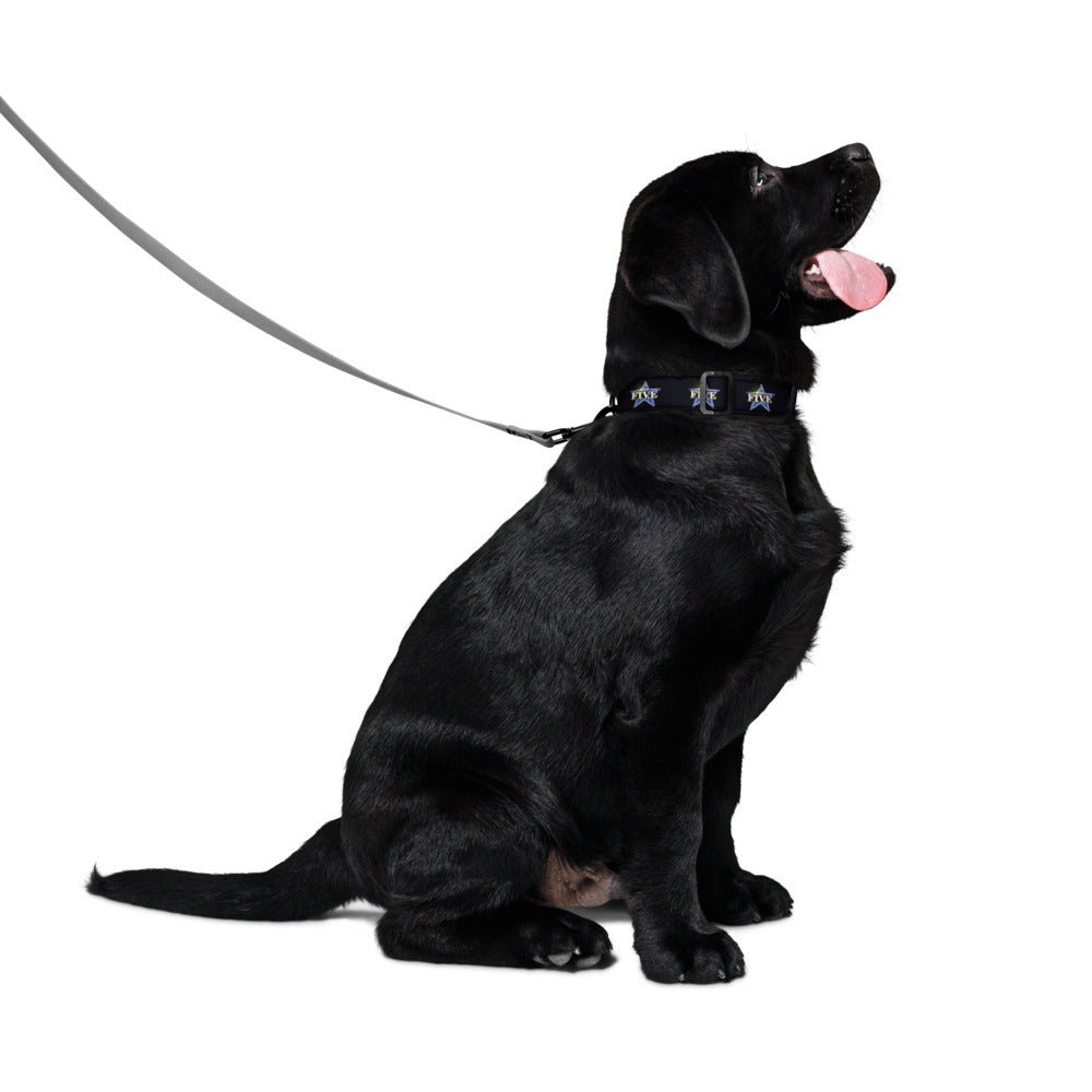 The Five Logo Pet Collar M