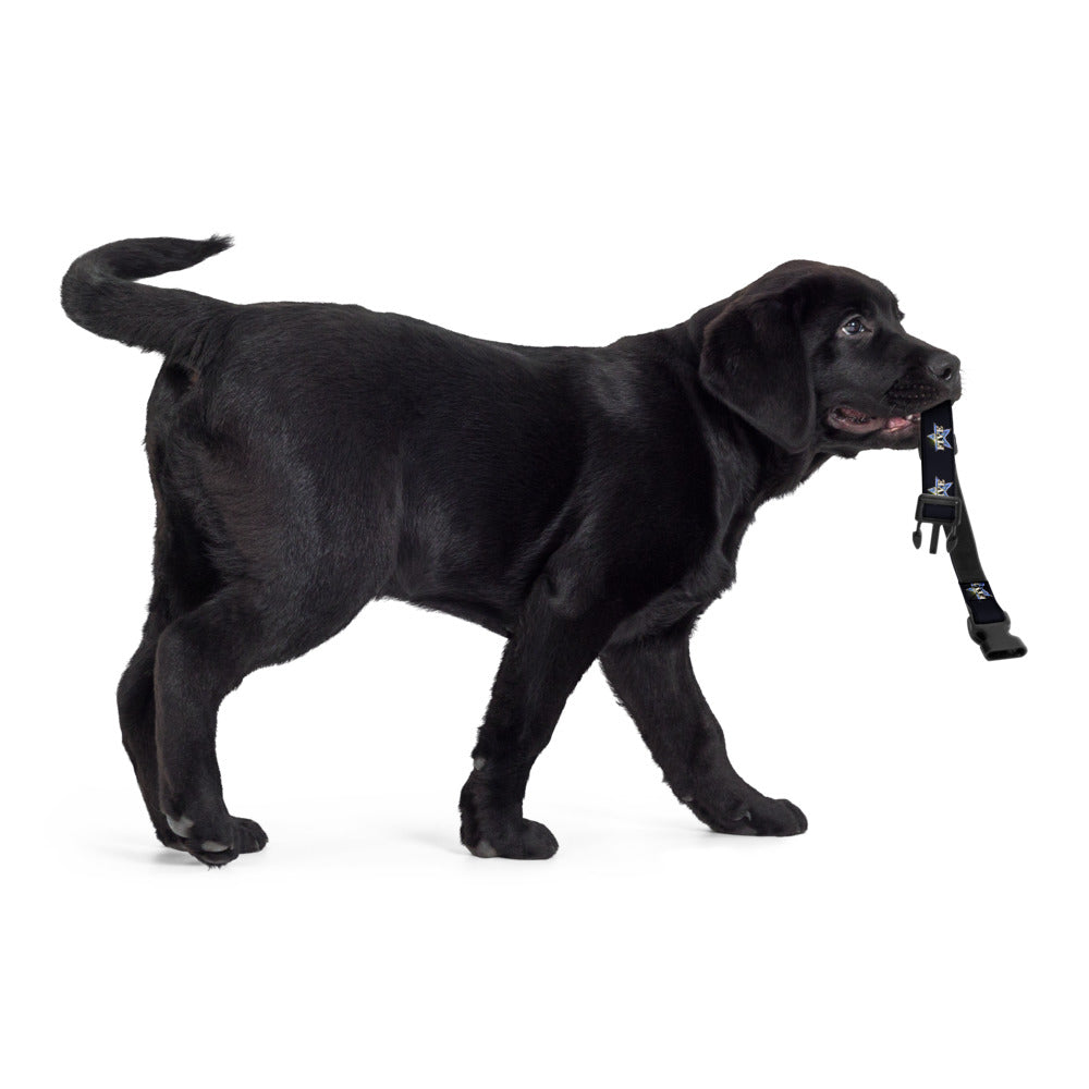 The Five Pet Collar